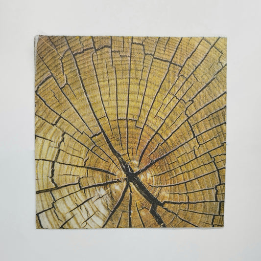 Servilleta con el corte de un árbol o madera