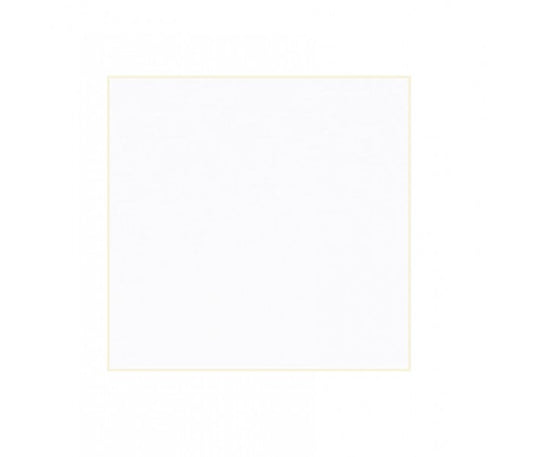 10 Cartulinas blancas 30x30 200gr